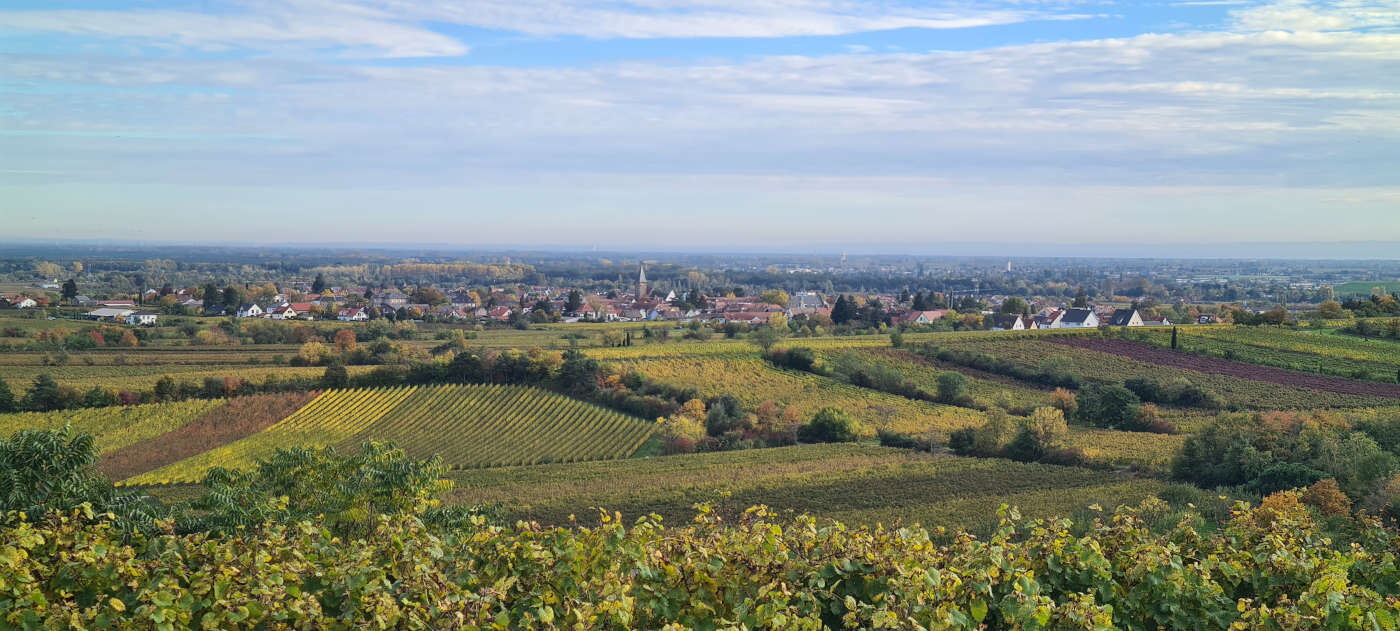 Landschaft mit Grünen Bäumen, Feldern und einer Stadt im Hintergrund
